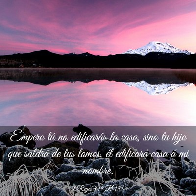 Picture 03 - 1 Reyes 8:19 RVA - Empero tú no edificarás la casa, sino tu hijo - Bible Verse Picture