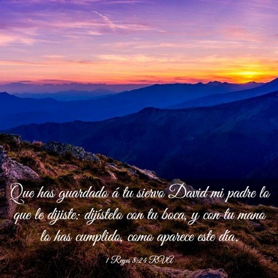 Picture 03 - 1 Reyes 8:24 RVA - Que has guardado á tu siervo David mi padre lo - Bible Verse Picture