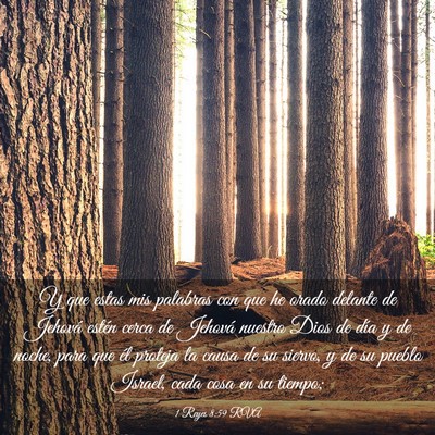 Picture 03 - 1 Reyes 8:59 RVA - Y que estas mis palabras con que he orado delante - Bible Verse Picture