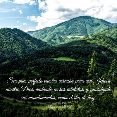 Picture 03 - 1 Reyes 8:61 RVA - Sea pues perfecto vuestro corazón para con - Bible Verse Picture