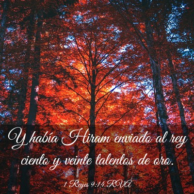 Picture 03 - 1 Reyes 9:14 RVA - Y había Hiram enviado al rey ciento y veinte - Bible Verse Picture