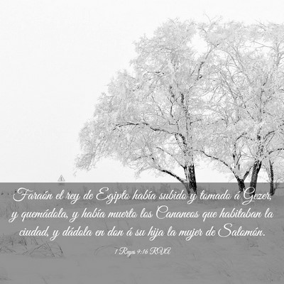 Picture 03 - 1 Reyes 9:16 RVA - Faraón el rey de Egipto había subido y tomado - Bible Verse Picture