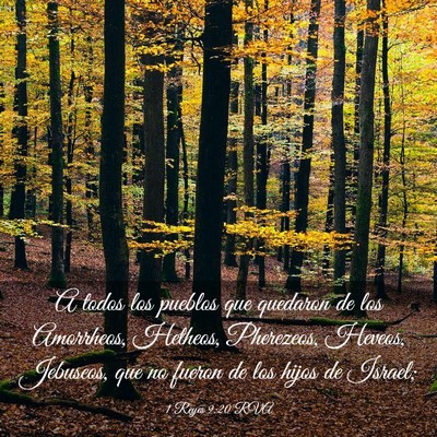 Picture 03 - 1 Reyes 9:20 RVA - A todos los pueblos que quedaron de los - Bible Verse Picture