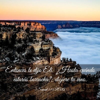 Picture 03 - 1 Samuel 1:14 RVA - Entonces le dijo Eli: ¿Hasta cuándo estarás - Bible Verse Picture