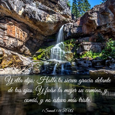 Picture 03 - 1 Samuel 1:18 RVA - Y ella dijo: Halle tu sierva gracia delante de - Bible Verse Picture