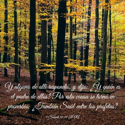 Picture 03 - 1 Samuel 10:12 RVA - Y alguno de allí respondió, y dijo: ¿Y quién - Bible Verse Picture