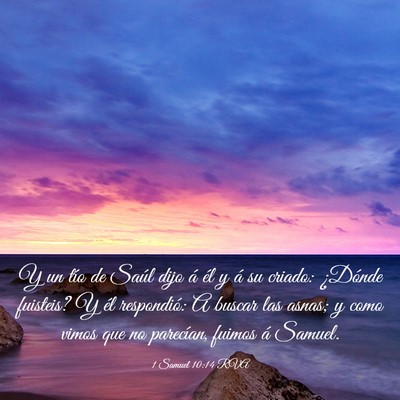 Picture 03 - 1 Samuel 10:14 RVA - Y un tío de Saúl dijo á él y á su criado: - Bible Verse Picture