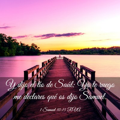 Picture 03 - 1 Samuel 10:15 RVA - Y dijo el tío de Saúl: Yo te ruego me declares - Bible Verse Picture