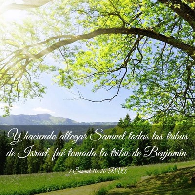 Picture 03 - 1 Samuel 10:20 RVA - Y haciendo allegar Samuel todas las tribus de - Bible Verse Picture