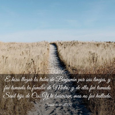 Picture 03 - 1 Samuel 10:21 RVA - E hizo llegar la tribu de Benjamín por sus - Bible Verse Picture