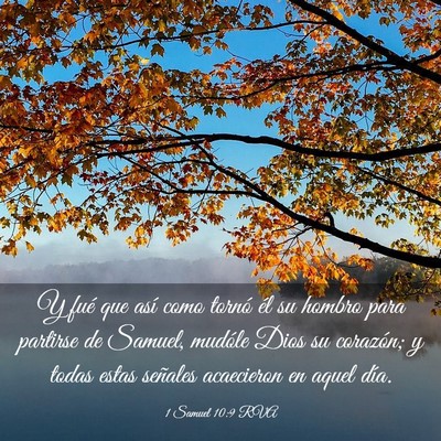 Picture 03 - 1 Samuel 10:9 RVA - Y fué que así como tornó él su hombro para - Bible Verse Picture