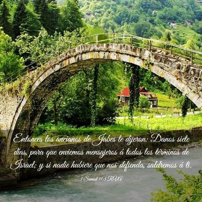 Picture 03 - 1 Samuel 11:3 RVA - Entonces los ancianos de Jabes le dijeron: Danos - Bible Verse Picture