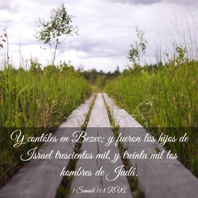 Picture 03 - 1 Samuel 11:8 RVA - Y contóles en Bezec; y fueron los hijos de - Bible Verse Picture