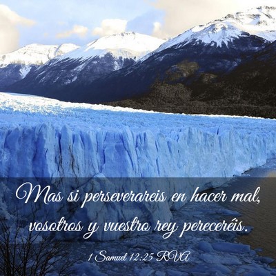 Picture 03 - 1 Samuel 12:25 RVA - Mas si perseverareis en hacer mal, vosotros y - Bible Verse Picture