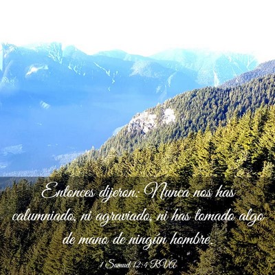 Picture 03 - 1 Samuel 12:4 RVA - Entonces dijeron: Nunca nos has calumniado, ni - Bible Verse Picture