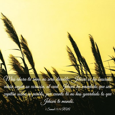 Picture 03 - 1 Samuel 13:14 RVA - Mas ahora tu reino no será durable: Jehová se - Bible Verse Picture