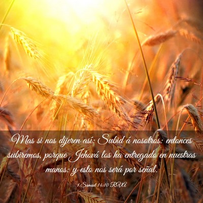 Picture 03 - 1 Samuel 14:10 RVA - Mas si nos dijeren así: Subid á nosotros: - Bible Verse Picture