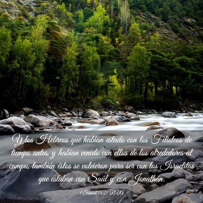 Picture 03 - 1 Samuel 14:21 RVA - Y los Hebreos que habían estado con los - Bible Verse Picture