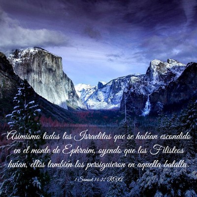 Picture 03 - 1 Samuel 14:22 RVA - Asimismo todos los Israelitas que se habían - Bible Verse Picture