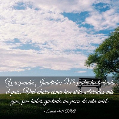 Picture 03 - 1 Samuel 14:29 RVA - Y respondió Jonathán: Mi padre ha turbado el - Bible Verse Picture