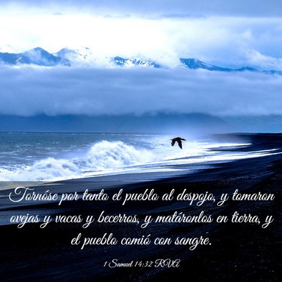 Picture 03 - 1 Samuel 14:32 RVA - Tornóse por tanto el pueblo al despojo, y - Bible Verse Picture
