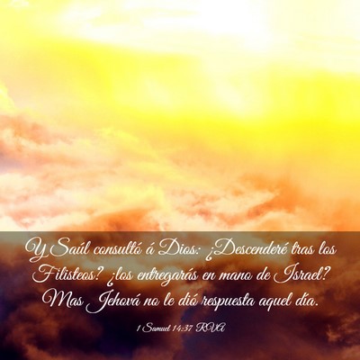 Picture 03 - 1 Samuel 14:37 RVA - Y Saúl consultó á Dios: ¿Descenderé tras los - Bible Verse Picture