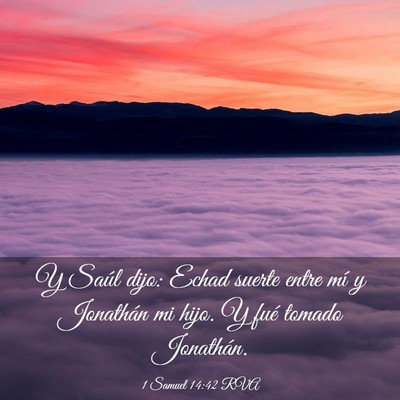 Picture 03 - 1 Samuel 14:42 RVA - Y Saúl dijo: Echad suerte entre mí y Jonathán - Bible Verse Picture