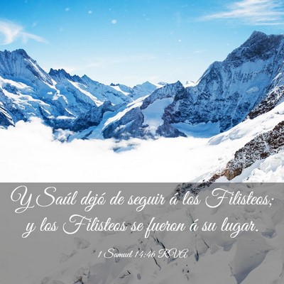 Picture 03 - 1 Samuel 14:46 RVA - Y Saúl dejó de seguir á los Filisteos; y los - Bible Verse Picture