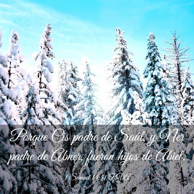 Picture 03 - 1 Samuel 14:51 RVA - Porque Cis padre de Saúl, y Ner padre de Abner, - Bible Verse Picture