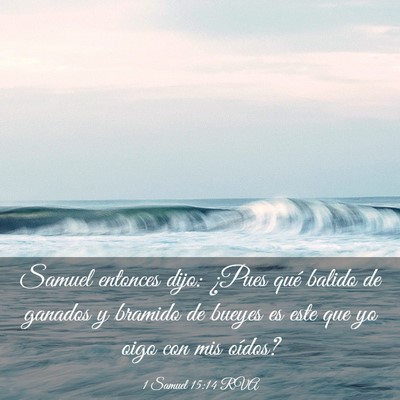 Picture 03 - 1 Samuel 15:14 RVA - Samuel entonces dijo: ¿Pues qué balido de - Bible Verse Picture