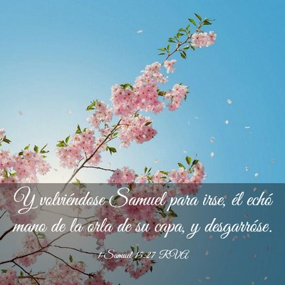 Picture 03 - 1 Samuel 15:27 RVA - Y volviéndose Samuel para irse, él echó mano - Bible Verse Picture