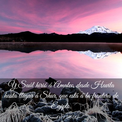 Picture 03 - 1 Samuel 15:7 RVA - Y Saúl hirió á Amalec, desde Havila hasta - Bible Verse Picture