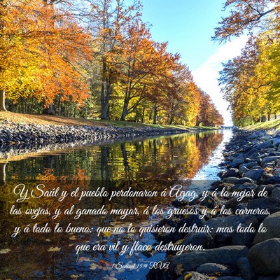 Picture 03 - 1 Samuel 15:9 RVA - Y Saúl y el pueblo perdonaron á Agag, y á lo - Bible Verse Picture