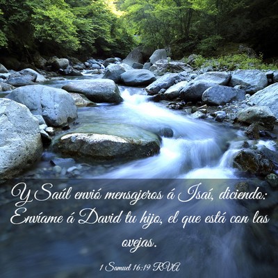 Picture 03 - 1 Samuel 16:19 RVA - Y Saúl envió mensajeros á Isaí, diciendo: - Bible Verse Picture