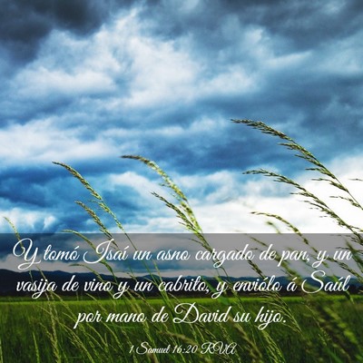 Picture 03 - 1 Samuel 16:20 RVA - Y tomó Isaí un asno cargado de pan, y un vasija - Bible Verse Picture