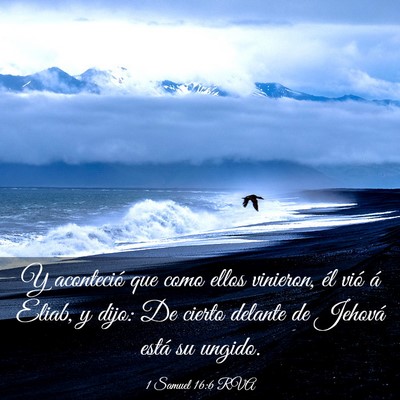 Picture 03 - 1 Samuel 16:6 RVA - Y aconteció que como ellos vinieron, él vió á - Bible Verse Picture