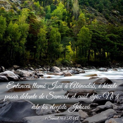 Picture 03 - 1 Samuel 16:8 RVA - Entonces llamó Isaí á Abinadab, é hízole - Bible Verse Picture