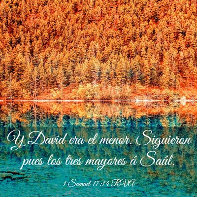 Picture 03 - 1 Samuel 17:14 RVA - Y David era el menor. Siguieron pues los tres - Bible Verse Picture