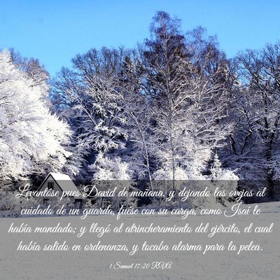 Picture 03 - 1 Samuel 17:20 RVA - Levantóse pues David de mañana, y dejando las - Bible Verse Picture