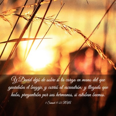 Picture 03 - 1 Samuel 17:22 RVA - Y David dejó de sobre sí la carga en mano del - Bible Verse Picture