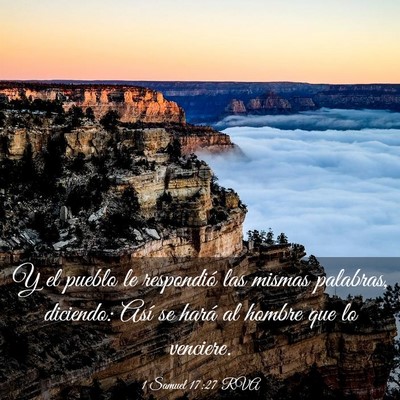 Picture 03 - 1 Samuel 17:27 RVA - Y el pueblo le respondió las mismas palabras, - Bible Verse Picture