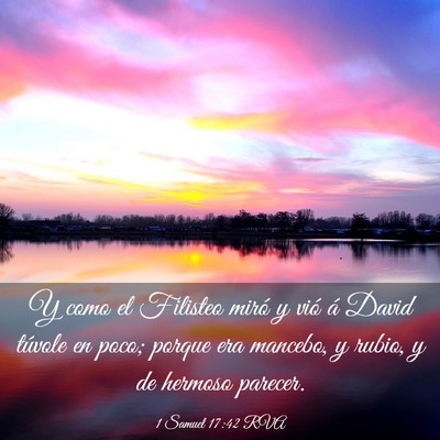Picture 03 - 1 Samuel 17:42 RVA - Y como el Filisteo miró y vió á David túvole - Bible Verse Picture