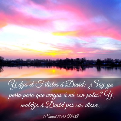 Picture 03 - 1 Samuel 17:43 RVA - Y dijo el Filisteo á David: ¿Soy yo perro para - Bible Verse Picture