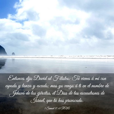 Picture 03 - 1 Samuel 17:45 RVA - Entonces dijo David al Filisteo: Tú vienes á - Bible Verse Picture