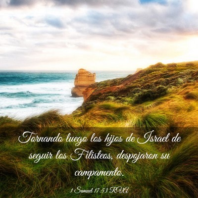 Picture 03 - 1 Samuel 17:53 RVA - Tornando luego los hijos de Israel de seguir los - Bible Verse Picture
