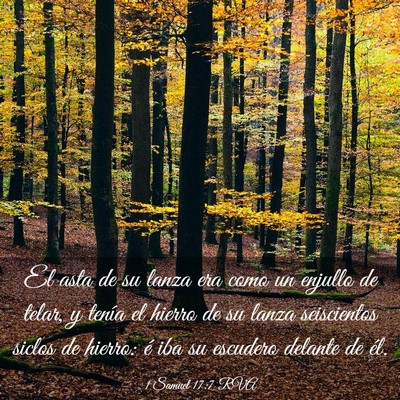 Picture 03 - 1 Samuel 17:7 RVA - El asta de su lanza era como un enjullo de telar, - Bible Verse Picture