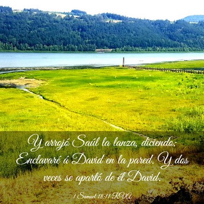 Picture 03 - 1 Samuel 18:11 RVA - Y arrojó Saúl la lanza, diciendo: Enclavaré á - Bible Verse Picture