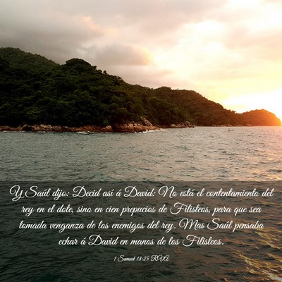 Picture 03 - 1 Samuel 18:25 RVA - Y Saúl dijo: Decid así á David: No está el - Bible Verse Picture