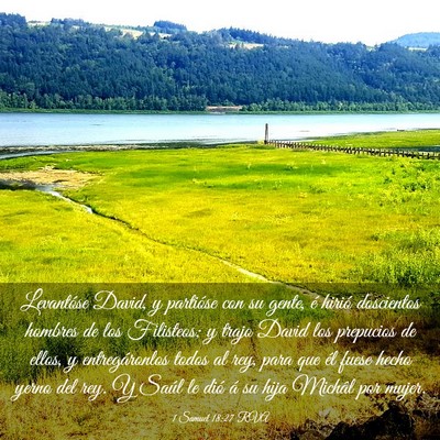 Picture 03 - 1 Samuel 18:27 RVA - Levantóse David, y partióse con su gente, é - Bible Verse Picture