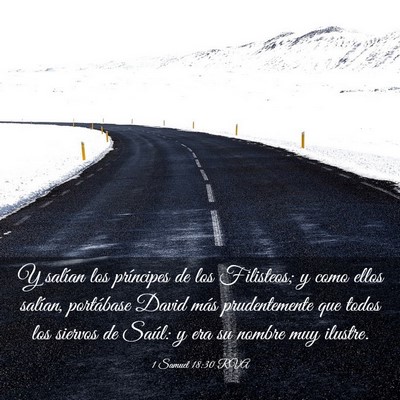 Picture 03 - 1 Samuel 18:30 RVA - Y salían los príncipes de los Filisteos; y como - Bible Verse Picture